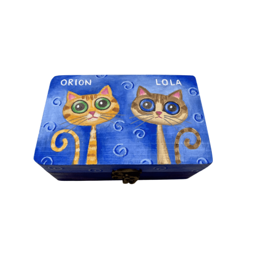 Caja personalizada 2 caricaturas 2