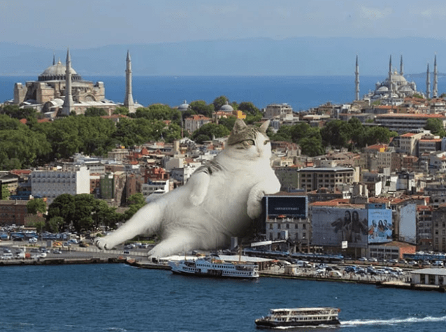 La invasión de los gatos gigantes